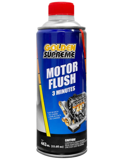 [02-01-001] GS LIMPIA MOTOR 443ml